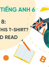 Unit 8 How much is this T-shirt - Listen and read - Tiếng Anh 6  -  Hoc10